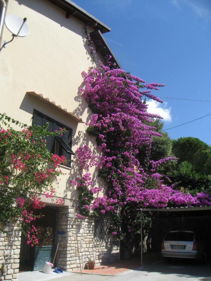 Villa Bonardi Castiglioncello Eksteriør bilde